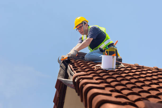 Best Roofing for New Construction  in Jensen Beach, FL